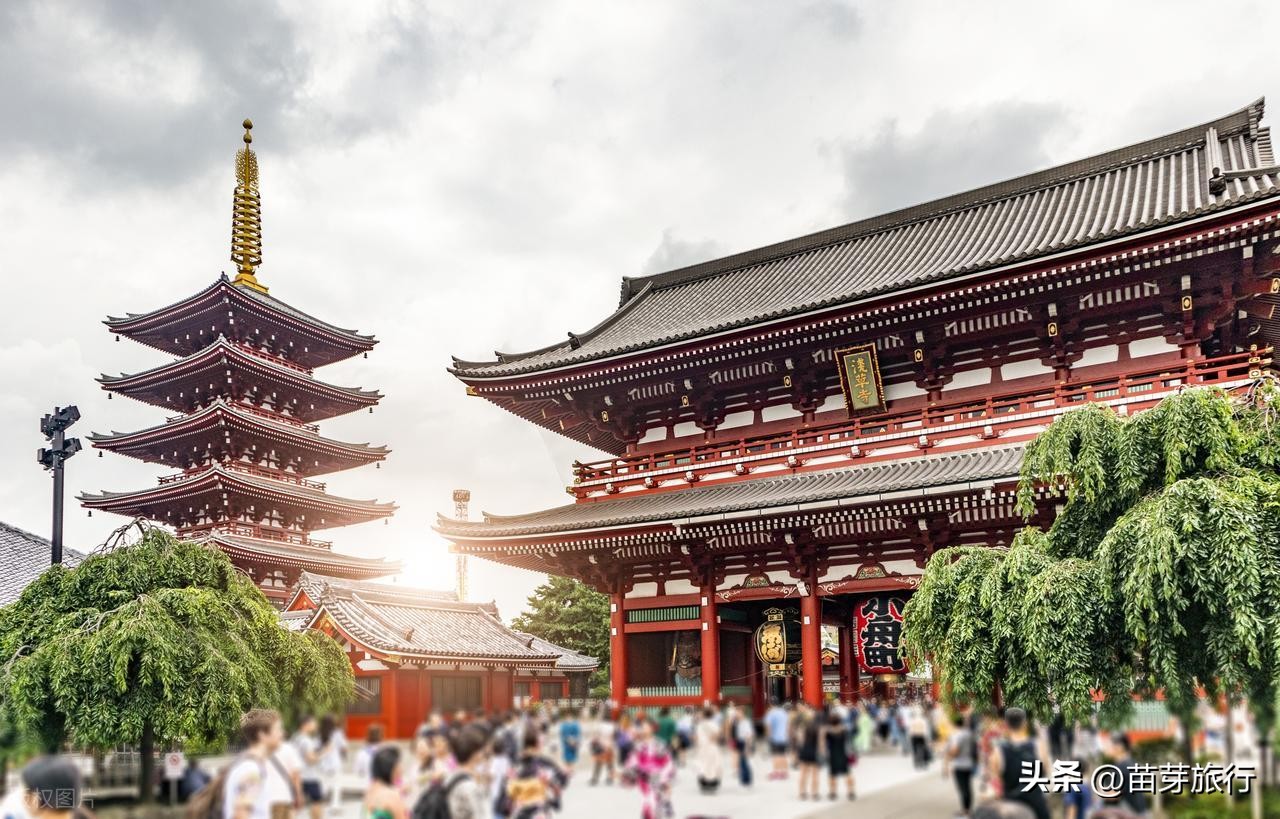 2025 Tokyo Travel Guide: Some Basics of Tokyo