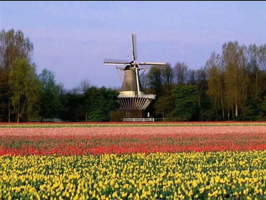 Amsterdam Attractions: World Travel Map Highlights—Europe, Netherlands, Amsterdam, A Journey in Amsterdam