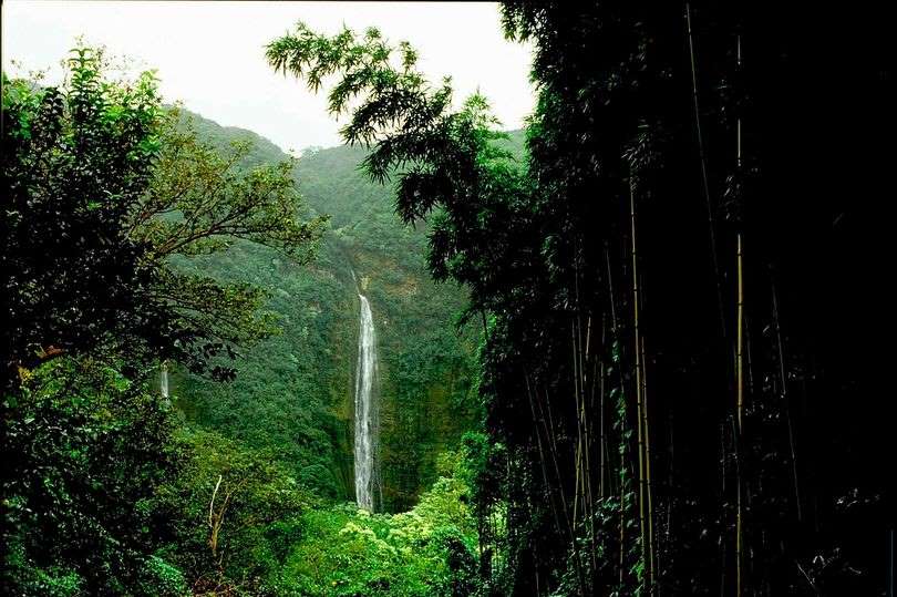 Hawaii Travel Vacation Guide 2025:10 Beautiful Places You Should Not Miss