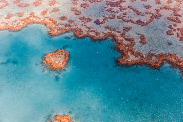 Top Tourist Destinations: The World's 10 Most Popular Attractions Revealed! Visiting 3 is considered passing, while visiting all of them makes you a true travel expert.