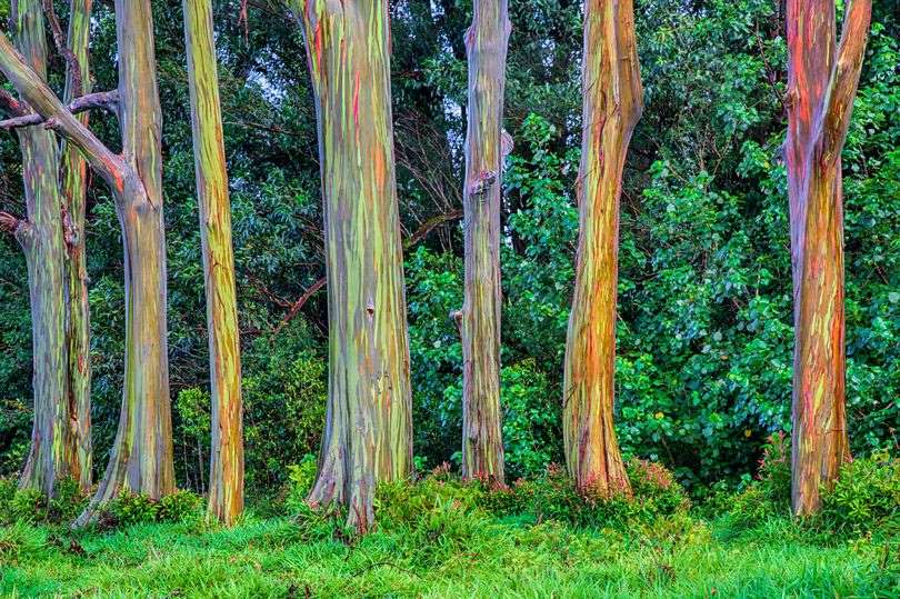 Hawaii Travel Vacation Guide 2025:10 Beautiful Places You Should Not Miss