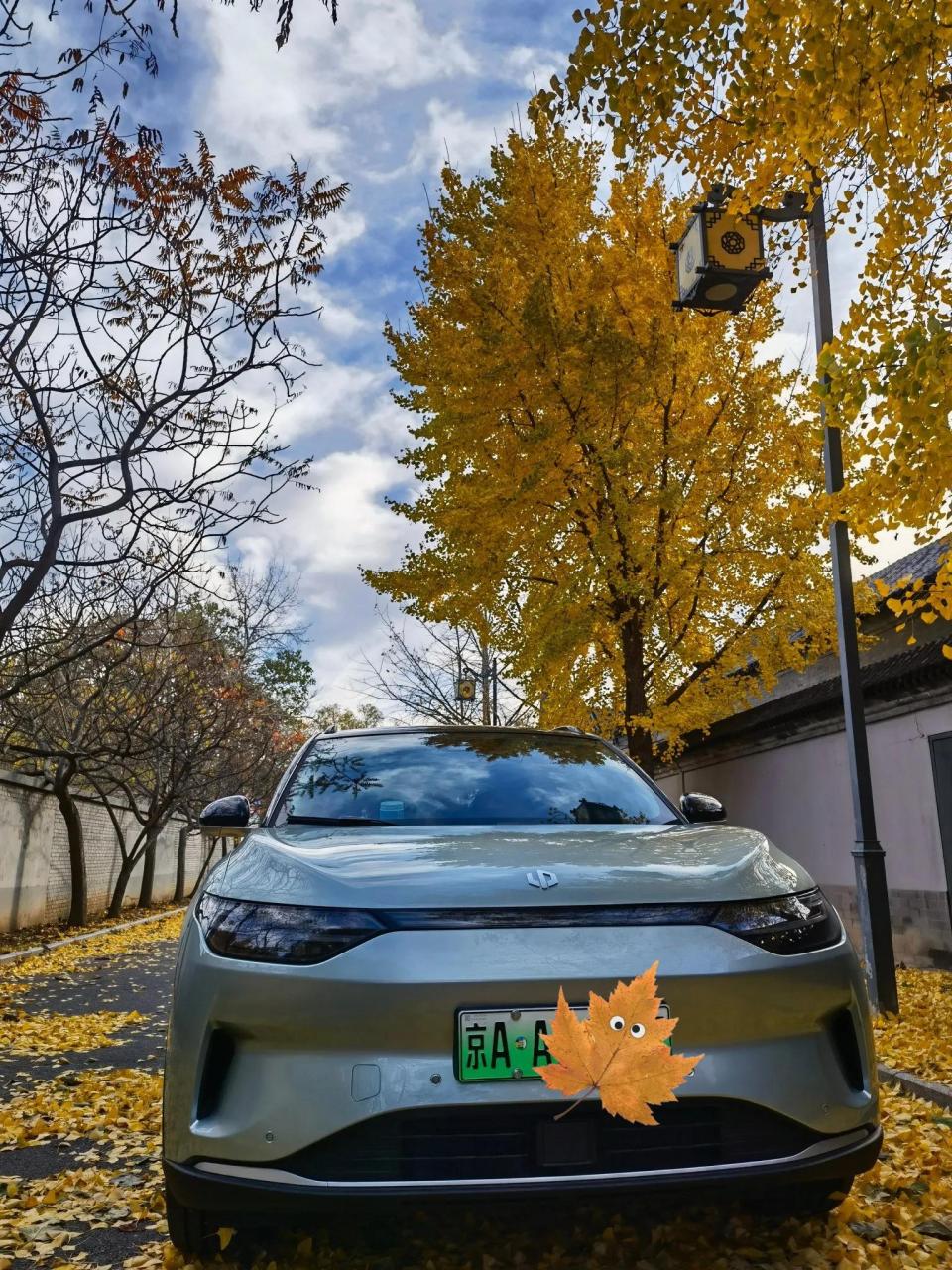 How much are the tickets for Tanzhe Temple: A complete guide to driving to Tanzhe Temple and appreciation of beautiful scenery pictures