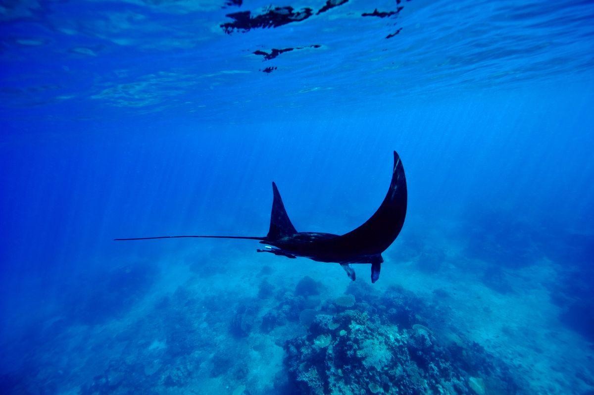 Vacation Destination Recommendations: 10 Most Remote Vacation Destinations in the World with Few Crowds and Stunning Scenery!