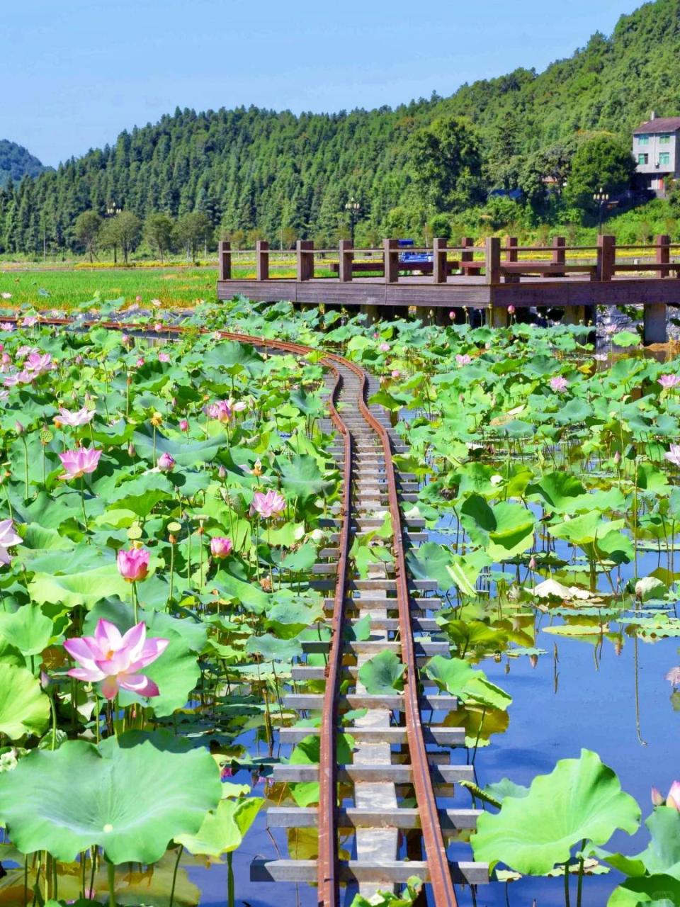 Tropical Islands: The 6 Most Beautiful Islands in the World, 2 of Which Are in China