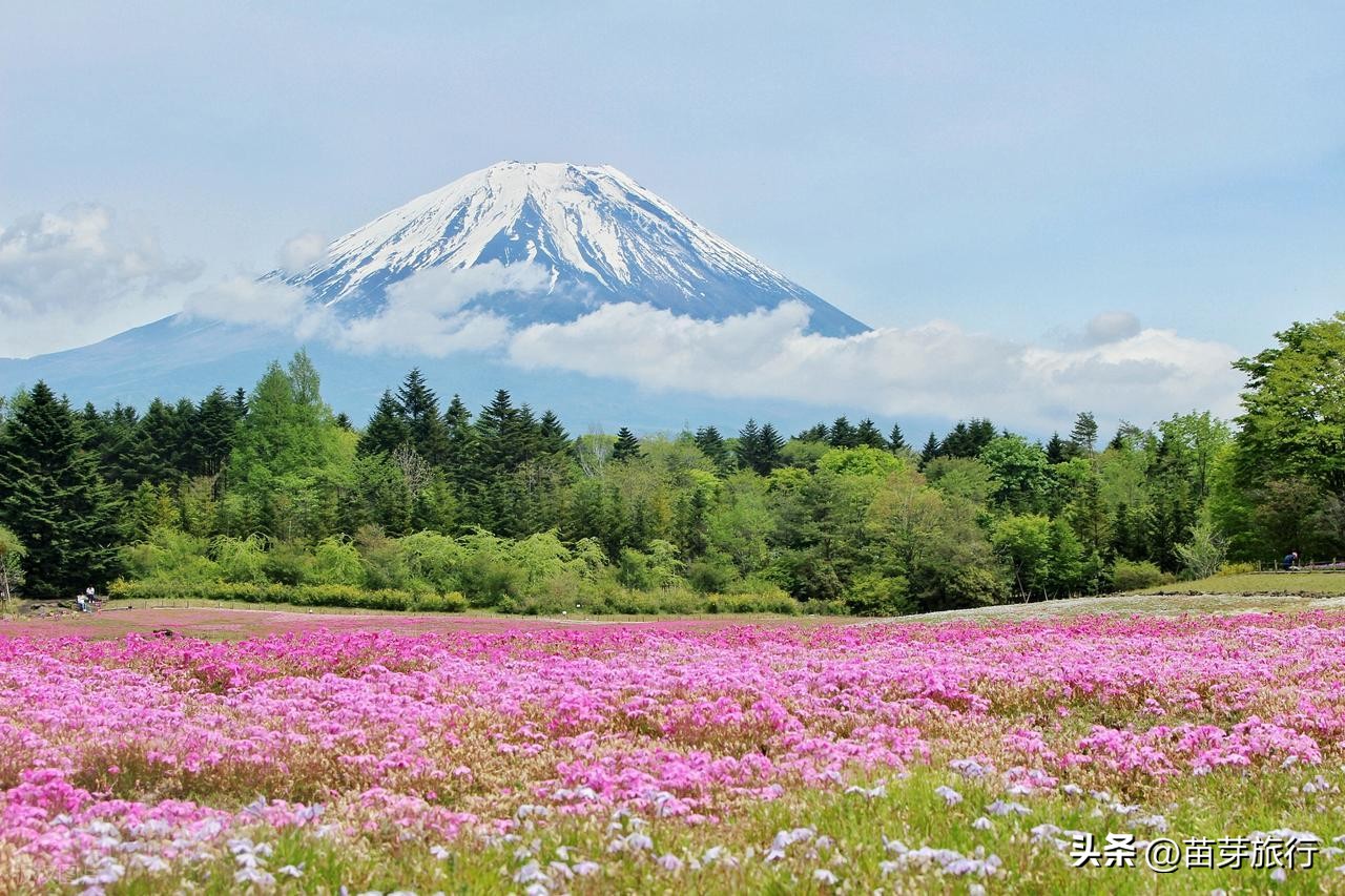2025 Tokyo Travel Guide: Some Basics of Tokyo