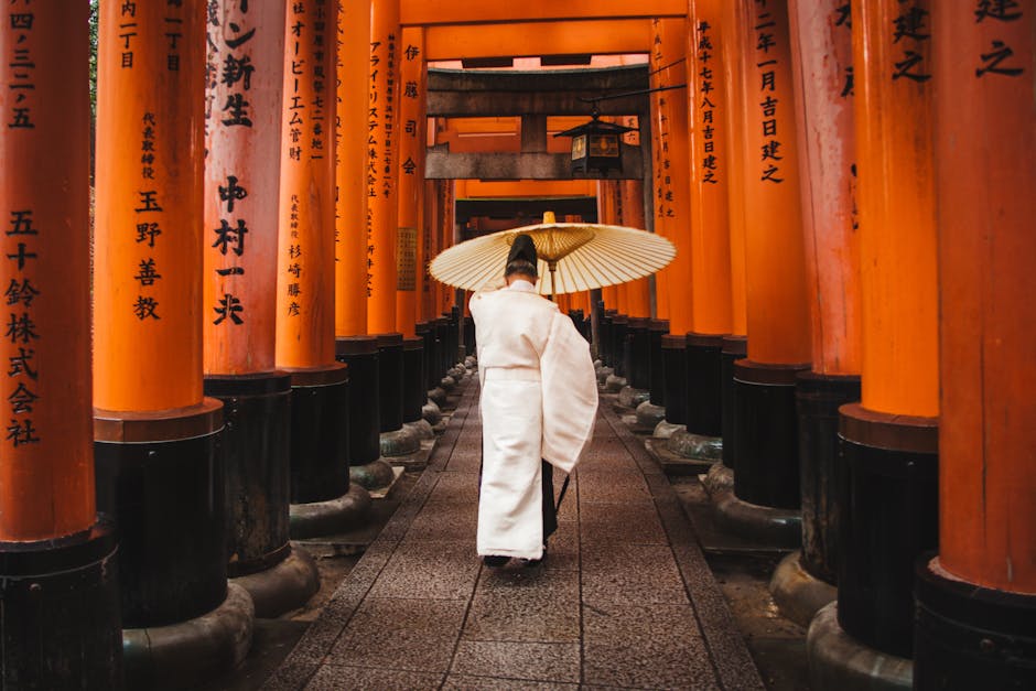 Complete Japan Travel Guide: Large Theme Parks, Beautiful Attractions and Food Exploration