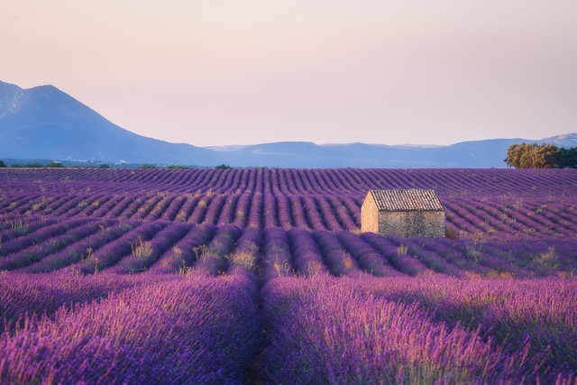 The Coolest Travel Companions: 2025's Top 10 Coolest Travel Destinations in the World, The #1 Place That 90% of People Don't Know About!