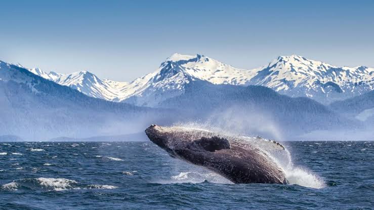 Famous US Attractions: The Top 10 Must-Visit Places in America - you can't say you've truly been to America without visiting these!